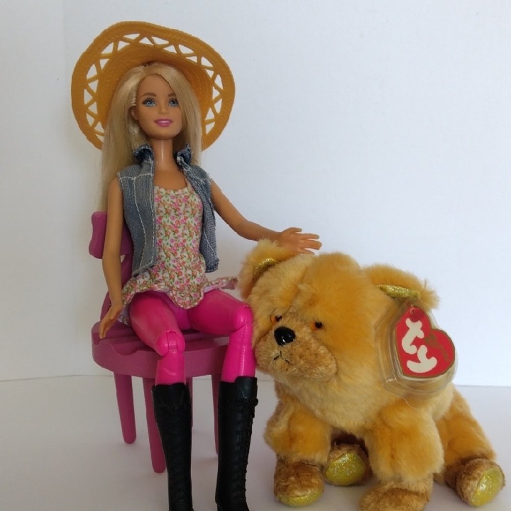 2014 Barbie Horse Riding Doll Includes 2000 TY Baby Plush Dog, & Pink Chair